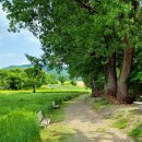 다래목장 이미지