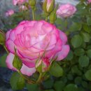 하얀등대 이미지