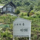 힐링 홈카페 | 그녀의 홈카페” 맛집 후기｜홈카페 감성 끝판왕! 시그니처 한라봉 빙수 &amp; 아메리카노로 여름 힐링