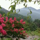 축령산휴림
