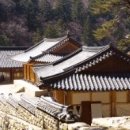 상갈래 도로변 한국경제