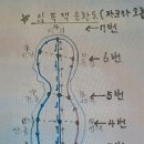 ◎ 9988 100세 시대 60, 70대 이후 몸 관리 어떻게 해야 하나요? (치매, 우울증, 뇌 건강) 이미지