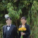 아우라스튜디오 대구점 촬영후기 - 대나무숲+ 건물 혼합배경(야외) 타이트샷