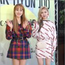 엘리 이미지