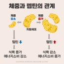 이음한의원 이미지