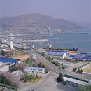 여수항 Daum카페