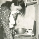 진홍청과