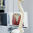 형주한의원 이미지