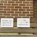 큰마당캠핑장 네이버블로그