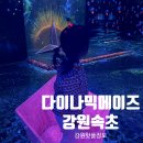 11500-5-28-102 | 다이나믹메이즈 속초 아이랑 실내체험 후기｜얼라이브하트 포토존까지