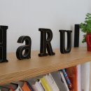 하루(Haru) 이미지