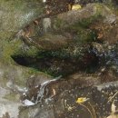 제주미당 이미지