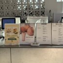 다송목장 | 가평 신상 카페 양떼목장 당일치기여행 아이랑 놀거리