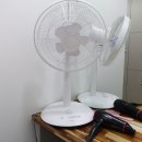 킹콩복싱아카데미 이미지