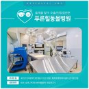 푸른힐동물병원 이미지