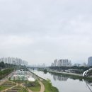 중랑천 이미지