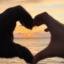 승리목장 | 유독 따뜻하고 또 추웠던 제쥬 ..ⓙⓔⓙⓤ