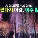 빛의 숲 이미지