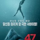 47 이미지