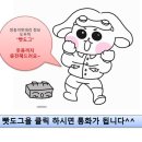 쌍둥이카써비스 - 창원시 마산합포구 성호서11길 1 | 쌍둥이카써비스
