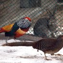 고성공룡나라(대전)휴게소 이미지