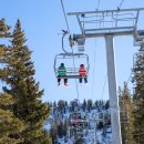 B/F Dog Talk Talk 이미지