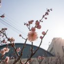 (주)다담건설
