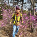 배산성지 이미지