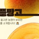 주식회사 올링크 이미지