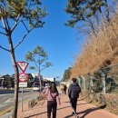 공산성 주차장 화장실 이미지