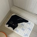 다이소 고양이 발매트 3000원 실사용 후기🐾 가성비 인테리어 추천템