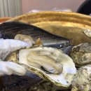 인생맛집 | 서울 굴찜 여의도에서 인생 맛집 찾은 후기