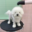 꼬망망