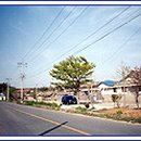 동령농장 이미지