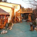 파랑새민박 이미지