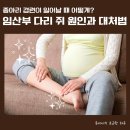 쥐실천 | 임산부 다리 쥐 원인과 대처법, 새벽 종아리 경련 해결하기