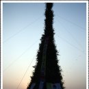 삼락공원 - 달집태우기 이미지