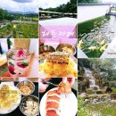 괴산-5 | 괴산여행중 들른 &#34;해듬카페&#34; 방문후기 🌿✨️