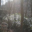 거림골 | 지리산(거림골에서 세석산장까지)