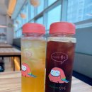 셀렉홈즈