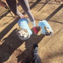 산성별장 | 실내애견동반 가능한 남한산성 한식맛집 '산성별장'