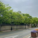 수릉원(남) | [요즘 김해, 지금 여행] 2일