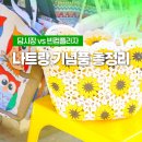 (10/28)수제 쌀 빼빼로쿠키 | 베트남 나트랑 기념품 추천 빈컴플라자 vs 담시장 쇼핑리스트 정리