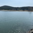 신진도드림 이미지