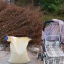 웃말농장 이미지