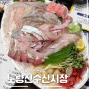 광장상회 | 노량진수산시장 회 추천 부산자갈치 순천만상회 하늘채광장 이용 후기