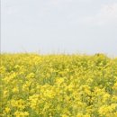 이봉상 신도비 | 春日