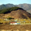 달전 이미지