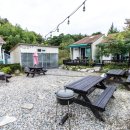 프렌즈 애견 이미지