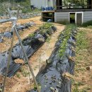 새샘농장 이미지